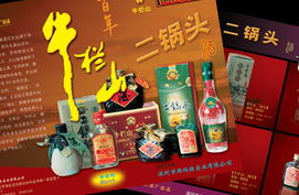 網(wǎng)端品牌設(shè)計 南京產(chǎn)品包裝設(shè)計與廣告設(shè)計的專業(yè)之道